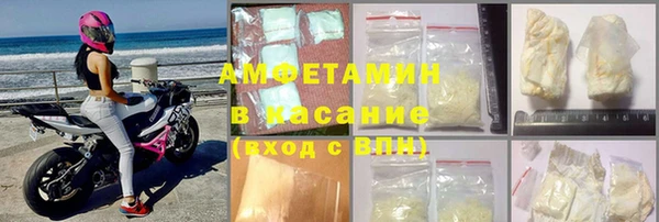 прущие грибы Ельня