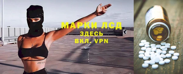 прущие грибы Ельня