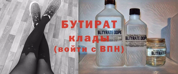 прущие грибы Ельня