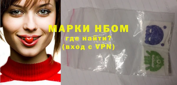 прущие грибы Ельня
