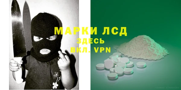 прущие грибы Ельня