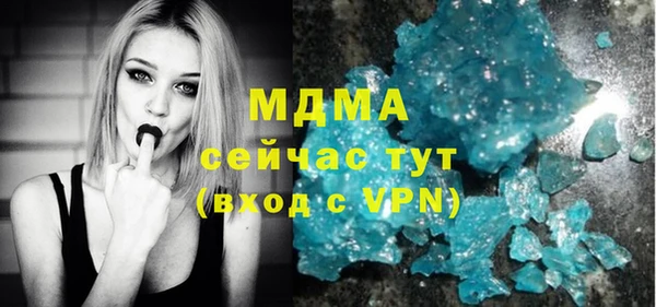 прущие грибы Ельня
