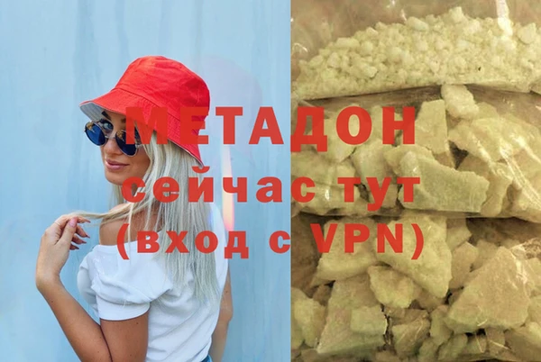 прущие грибы Ельня