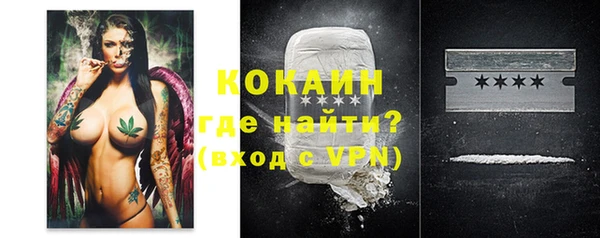 прущие грибы Ельня