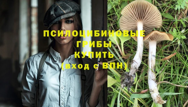 гашишное масло Елизово