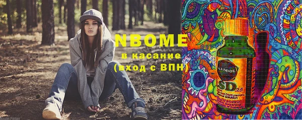 прущие грибы Ельня