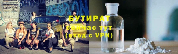 прущие грибы Ельня