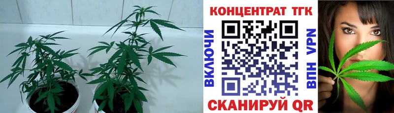 Купить где Киренск Дистиллят ТГК вейп
