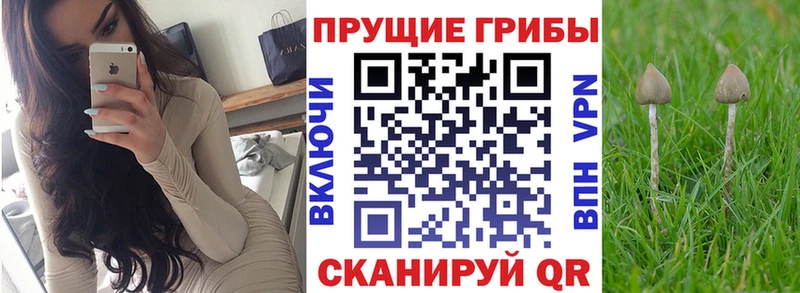 Купить где  Киренск  Галлюциногенные грибы Magic Shrooms 